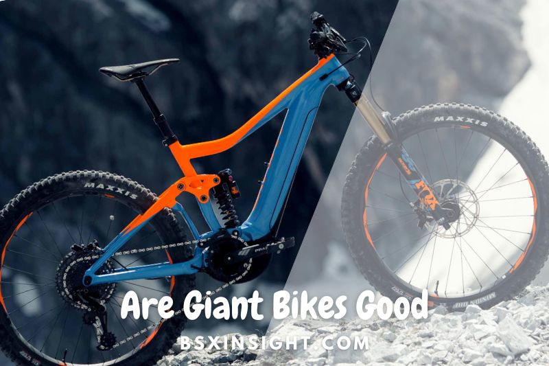 Are Giant Bikes Good? How Giant Bicycles Compare to Trek Bikes? 2023