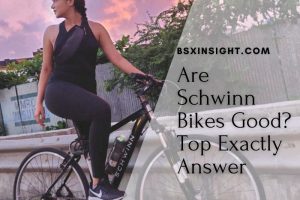 Are Schwinn Bikes Good Top Exactly Answer
