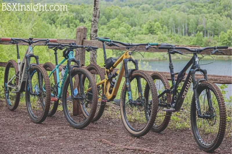 Various Mountain Bike Types