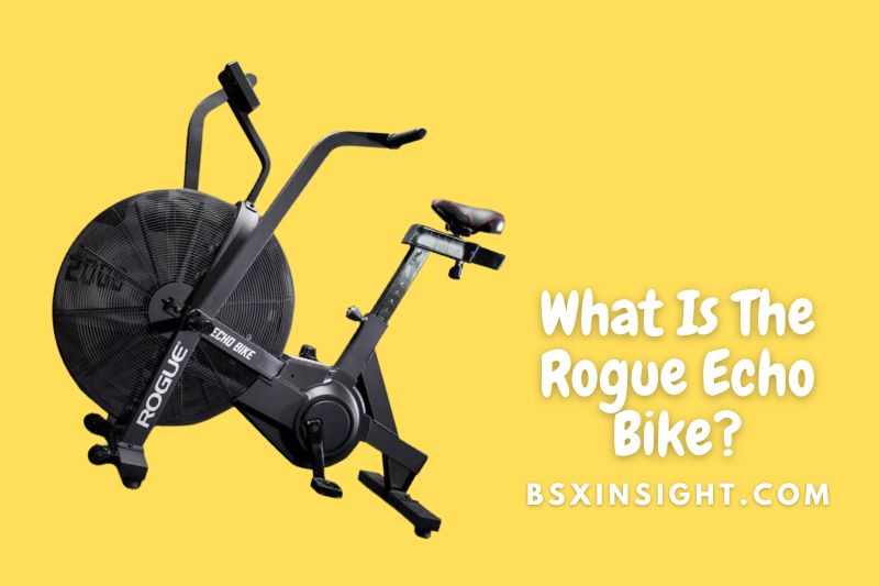 What Is The Rogue Echo Bike?