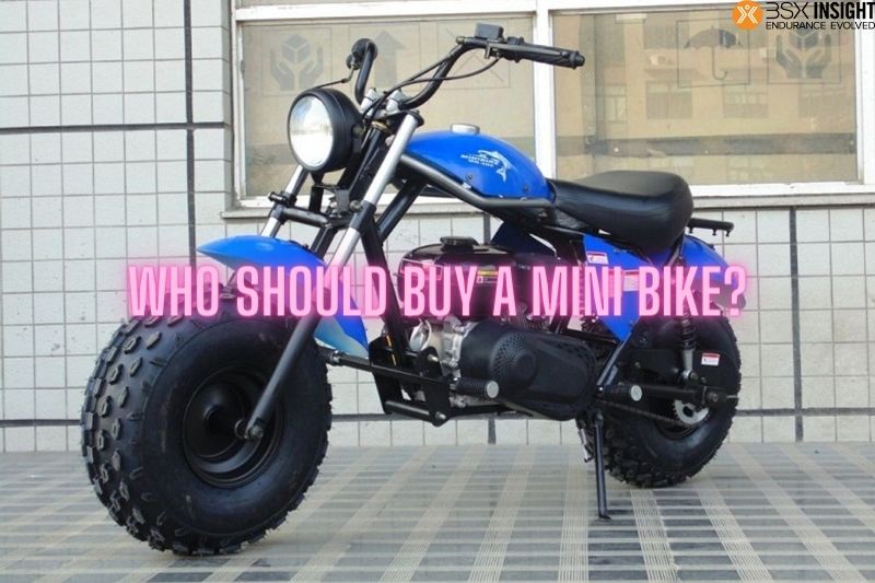 Who Should Buy a Mini Bike