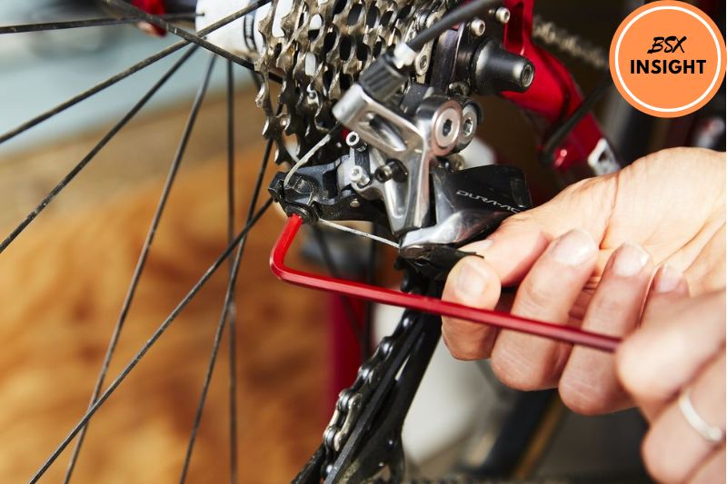 6 Tips to Adjust the Rear Derailleur on Your Mountain Bike