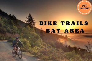 Bike Trails Bay Area Everything About Bay Bike Shops, Rental, And Share You Should Know 2022