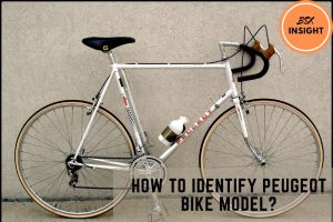 How To Identify Peugeot Bike Model Quick Way To Know Your Peugeot Age 2022
