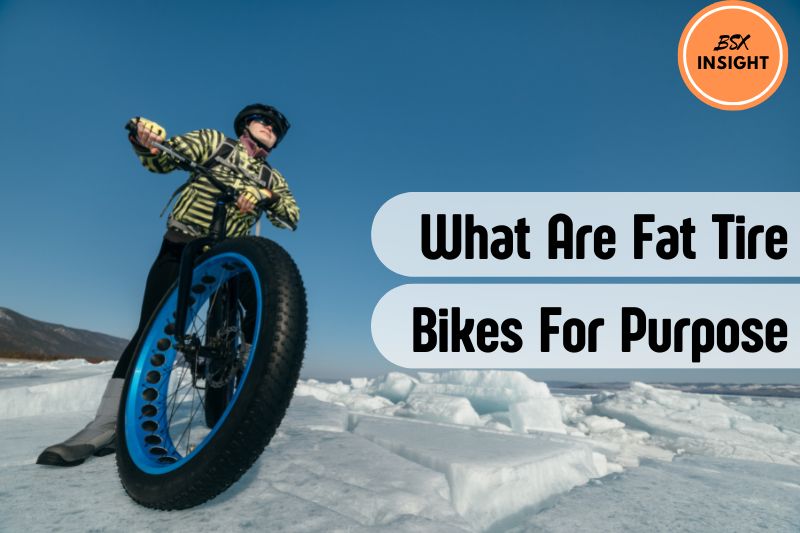 What Are Fat Tire Bikes For Purpose Why We Need To Choose Fat Tire Bike