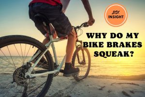 Why Do My Bike Brakes Squeak Bike Check- Detailed Guide For Any Rider 2023